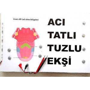 DİLİN KISIMLARI EŞLEŞTİRME PROJESİ