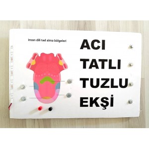 DİLİN KISIMLARI EŞLEŞTİRME PROJESİ